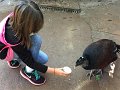 Kids_FL-Day3_11-2016 (38)